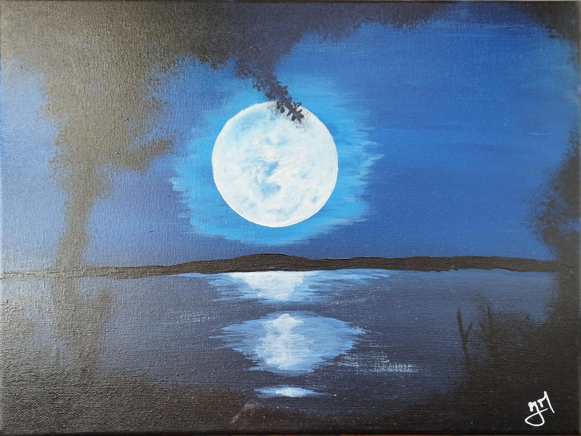 Couverture de Pleine Lune